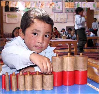 A budding engineer?