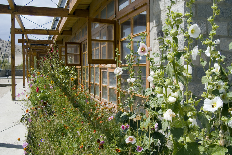 Horizontal and vertical anti-seismic cross-bracing, with summer flowers|Horizontal and vertical anti-seismic cross-bracing, with summer flowers