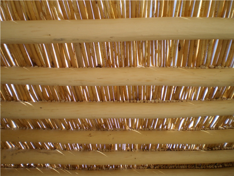 Poplar and willow roof|Poplar and willow roof